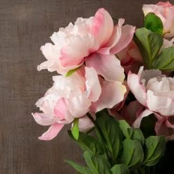 Best deal 🎁 12 Pack: Pink Peony Bush by Ashland® ❤️ -Ashland Shop MP547349 25