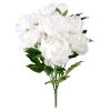 New 👍 12 Pack: White Peony Bush by Ashland® ✨ -Ashland Shop MP547350 1