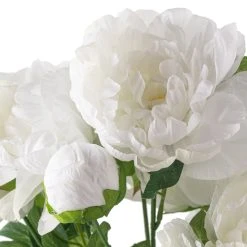 New 👍 12 Pack: White Peony Bush by Ashland® ✨ -Ashland Shop MP547350 20