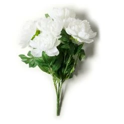 New 👍 12 Pack: White Peony Bush by Ashland® ✨ -Ashland Shop MP547350 21