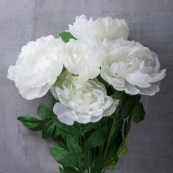 New 👍 12 Pack: White Peony Bush by Ashland® ✨ -Ashland Shop MP547350 22