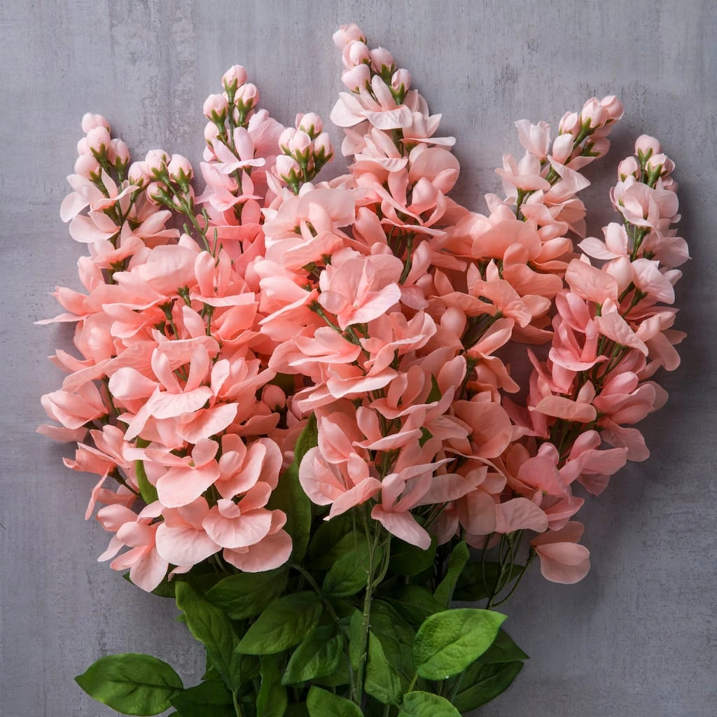 Best Sale ⌛ 12 Pack: Coral Wisteria Bush by Ashland® 🛒 5 Best Sale ⌛ 12 Pack: Coral Wisteria Bush by Ashland® 🛒 - Image 3