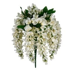 Wholesale 🔥 12 Pack: Cream Wisteria Bush by Ashland® 👏