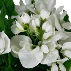 Hot Sale 😍 12 Pack: White Wisteria Bush by Ashland® 👏 -Ashland Shop MP547400 2