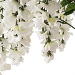 Hot Sale 😍 12 Pack: White Wisteria Bush by Ashland® 👏 -Ashland Shop MP547400 20