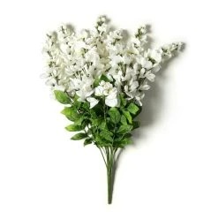 Hot Sale 😍 12 Pack: White Wisteria Bush by Ashland® 👏 -Ashland Shop MP547400 21