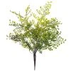 Buy 🌟 12 Pack: Forest Fern Bush by Ashland® 🎁 2 Buy 🌟 12 Pack: Forest Fern Bush by Ashland® 🎁 -Ashland Shop MP547457 1