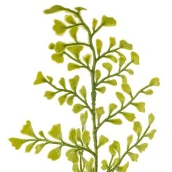 Buy 🌟 12 Pack: Forest Fern Bush by Ashland® 🎁 -Ashland Shop MP547457 20