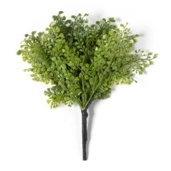 Buy 🌟 12 Pack: Forest Fern Bush by Ashland® 🎁 -Ashland Shop MP547457 21