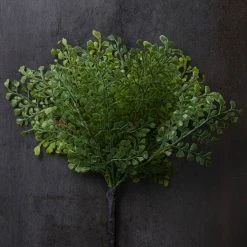 Buy 🌟 12 Pack: Forest Fern Bush by Ashland® 🎁 -Ashland Shop MP547457 22