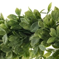 Hot Sale 🤩 12 Pack: 20" Foliage Wreath by Ashland® 🤩 -Ashland Shop MP547486 20