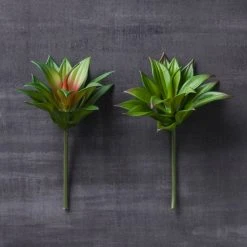 Deals 🎉 12 Pack: Assorted Agave Pick by Ashland® 🔔 -Ashland Shop MP547490 22