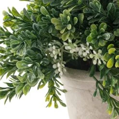 Budget ❤️ 6 Pack: Premade Boxwood Bush by Ashland® 🎁 -Ashland Shop MP547538 20
