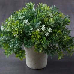 Budget ❤️ 6 Pack: Premade Boxwood Bush by Ashland® 🎁 -Ashland Shop MP547538 22