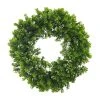 Cheapest 🔔 12 Pack: 22" Boxwood Wreath by Ashland® ⭐ -Ashland Shop MP547547 1