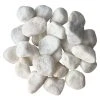Best Sale 🎉 12 Pack: White Marble Rocks by Ashland™ ⭐ -Ashland Shop MP556694 31
