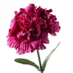 Best Sale ⌛ 24 Pack: Hot Pink Carnation Stem by Ashland® 😉 -Ashland Shop MP626417 20