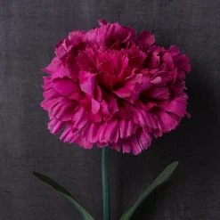 Best Sale ⌛ 24 Pack: Hot Pink Carnation Stem by Ashland® 😉 -Ashland Shop MP626417 22