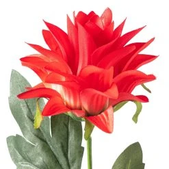 Hot Sale 🤩 12 Pack: Red Hops Stem by Ashland® 👏 -Ashland Shop MP626421 20