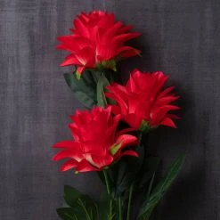 Hot Sale 🤩 12 Pack: Red Hops Stem by Ashland® 👏 -Ashland Shop MP626421 22