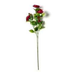 Promo 🎁 12 Pack: Burgundy Ranunculus Spray by Ashland® ⭐ -Ashland Shop MP626427 21