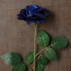 Cheap ⌛ 12 Pack: Navy Princess Rose Stem by Ashland® 🎉 -Ashland Shop MP626447 25