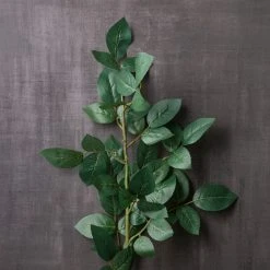 Top 10 👍 12 Pack: Rose Leaf Stem by Ashland® 👏 -Ashland Shop MP626471 22