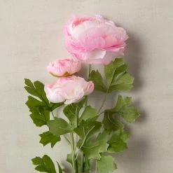 Coupon 🛒 12 Pack: Pink Ranunculus Spray by Ashland® ❤️ -Ashland Shop MP626529 25