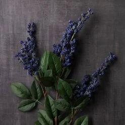 Best reviews of 🔔 12 Pack: Blue Berry Spray by Ashland® ⭐ -Ashland Shop MP626572 22