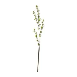 Best Sale ✔️ 12 Pack: Green Willow Stem by Ashland® 😍 -Ashland Shop MP626847 21