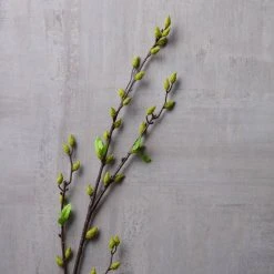 Best Sale ✔️ 12 Pack: Green Willow Stem by Ashland® 😍 -Ashland Shop MP626847 22