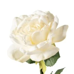Deals 🤩 6 Pack: White Rose Stem by Ashland® 🌟 -Ashland Shop MP626862 20