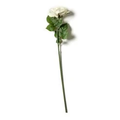 Deals 🤩 6 Pack: White Rose Stem by Ashland® 🌟 -Ashland Shop MP626862 21