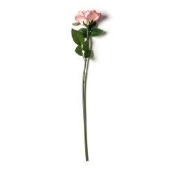 Discount π 6 Pack: Blush Rose Stem by Ashland® β¨ 13 Discount π 6 Pack: Blush Rose Stem by Ashland® β¨ -Ashland Shop MP626864 21