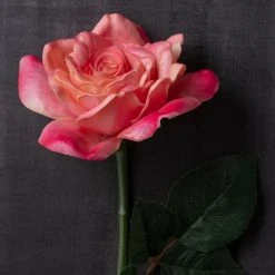 Promo ⌛ 6 Pack: Pink Rose Stem by Ashland® 🎁 -Ashland Shop MP626868 22