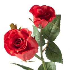 Deals 🧨 6 Pack: Red Rose Spray by Ashland® ⭐ -Ashland Shop MP626884 20