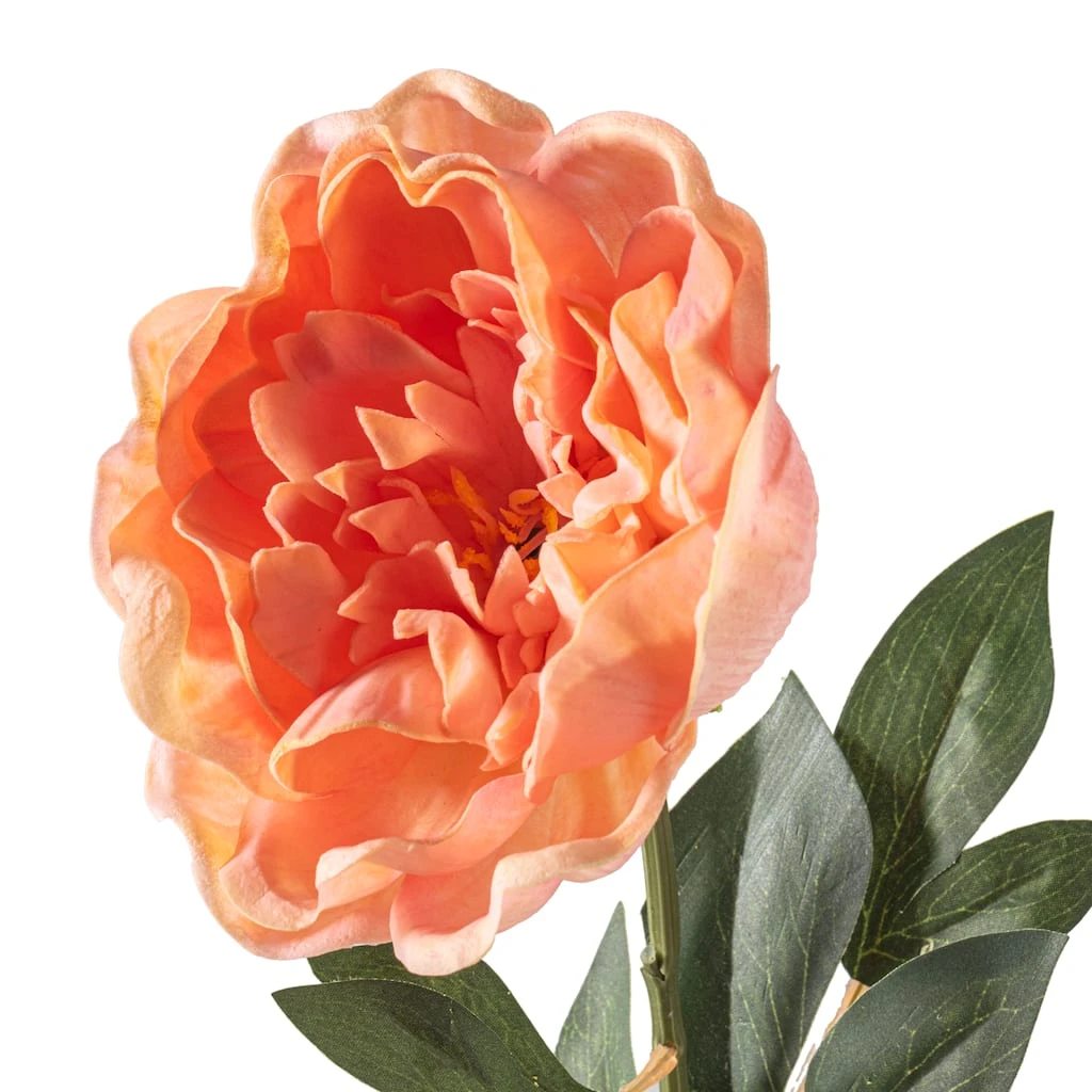 Brand new π 6 Pack: Blush Peony Stem by Ashland® β 8 Brand new π 6 Pack: Blush Peony Stem by Ashland® β - Image 6