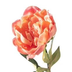 Best Sale ⭐ 6 Pack: Pink Peony Stem by Ashland® 👍 -Ashland Shop MP626888 20