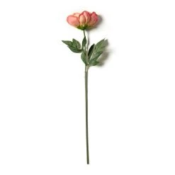 Best Sale ⭐ 6 Pack: Pink Peony Stem by Ashland® 👍 -Ashland Shop MP626888 21