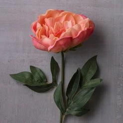 Best Sale ⭐ 6 Pack: Pink Peony Stem by Ashland® 👍 -Ashland Shop MP626888 22