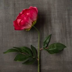 Best reviews of 🎁 6 Pack: Fuchsia Peony Stem by Ashland® 😉 -Ashland Shop MP626892 25