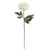 Promo 🧨 12 Pack: White Peony Stem by Ashland® 🔥 -Ashland Shop MP626894 1