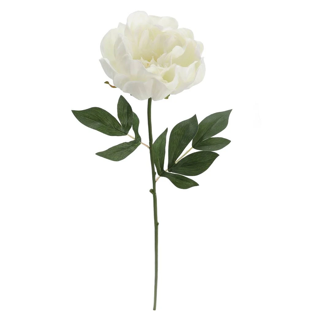 Promo ๐งจ 12 Pack: White Peony Stem by Ashland® ๐ฅ 5 Promo ๐งจ 12 Pack: White Peony Stem by Ashland® ๐ฅ - Image 3