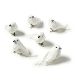 Deals 😀 8 Packs: 6 ct. (48 total) White Feather Birds by Ashland® ✨ -Ashland Shop MP627156 21