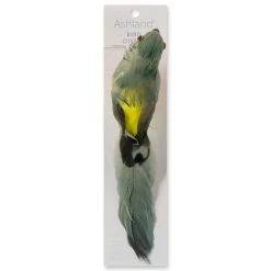 Best reviews of 👍 12 Pack: Assorted Feather Parrots by Ashland® ❤️ -Ashland Shop MP627157 20
