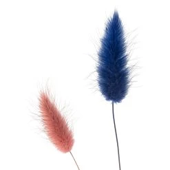 Discount 🤩 8 Pack: Assorted Lagurus Bundle by Ashland® ✨ 10 Discount 🤩 8 Pack: Assorted Lagurus Bundle by Ashland® ✨ -Ashland Shop MP628609 20