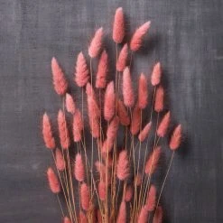 Discount 🤩 8 Pack: Assorted Lagurus Bundle by Ashland® ✨ 11 Discount 🤩 8 Pack: Assorted Lagurus Bundle by Ashland® ✨ -Ashland Shop MP628609 22