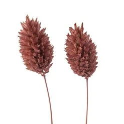 Cheap ⭐ 6 Pack: Coral Poa Grass Bundle by Ashland® 🌟 -Ashland Shop MP628612 20