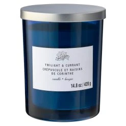Wholesale ⌛ 8 Pack: Twilight & Currant 2-Wick Jar Candle by Ashland® 🥰