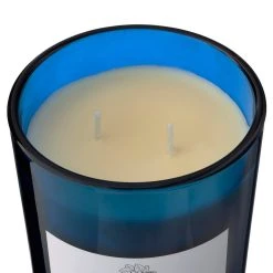 Wholesale ⌛ 8 Pack: Twilight & Currant 2-Wick Jar Candle by Ashland® 🥰 -Ashland Shop MP638398 31